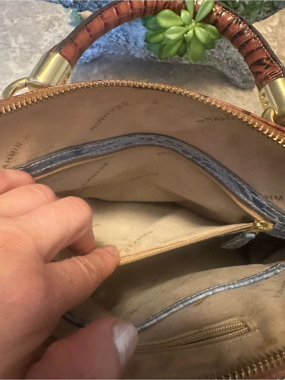 Brahmin elegant croc